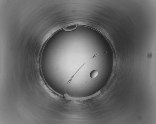 X0000111050898200906251430