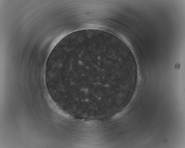 X0000111050899200906251430