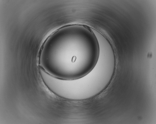 X0000111050900200906251430
