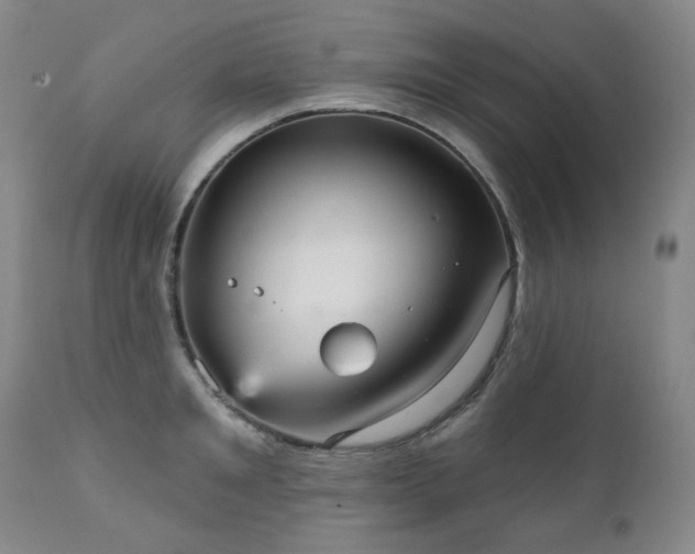 X0000111050901200906251430