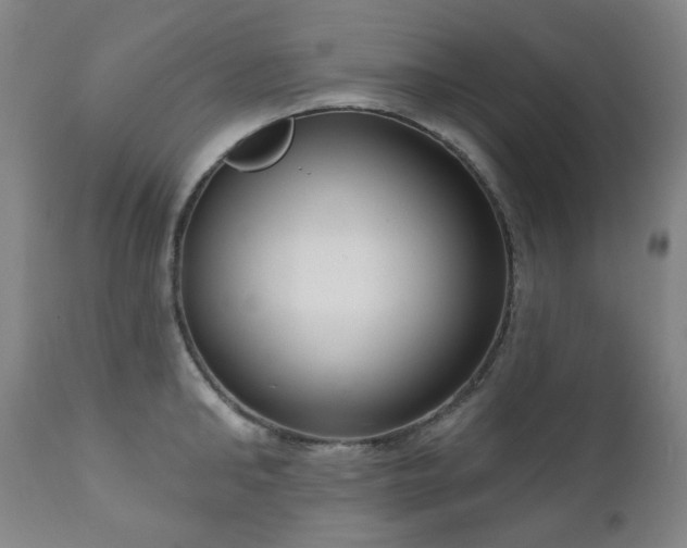X0000111050902200906251430