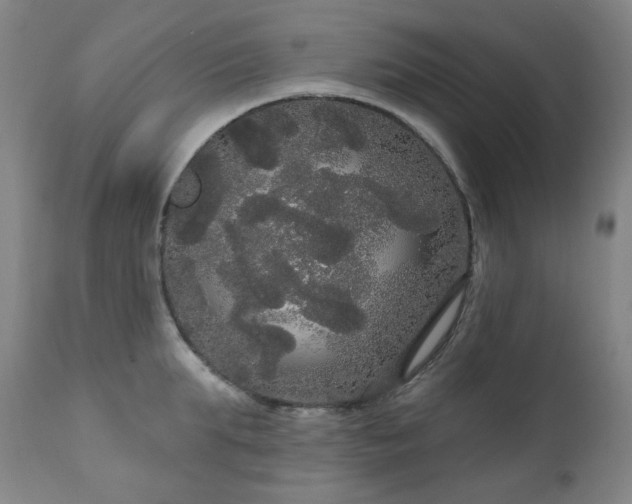 X0000111050903200906251430