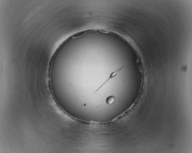 X0000111050904200906251430