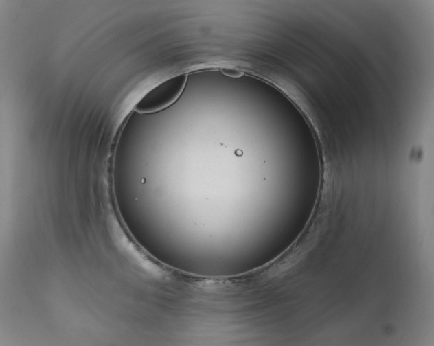 X0000111050906200906251430
