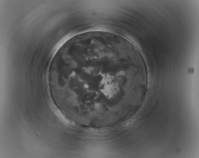X0000111050907200906251430