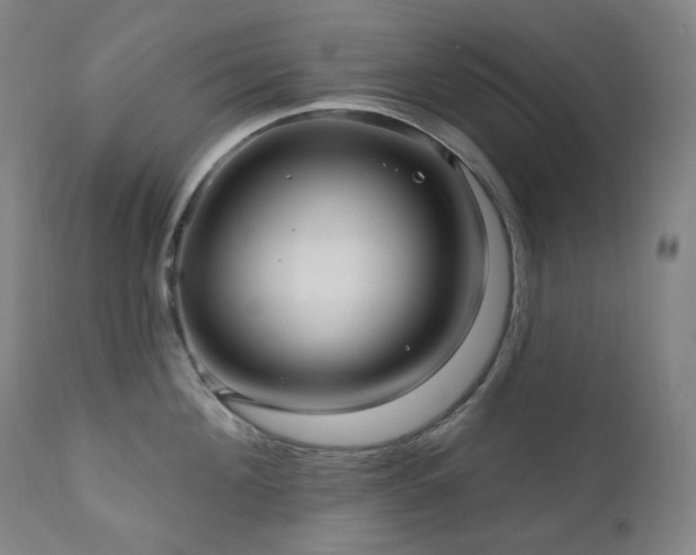X0000111050908200906251430