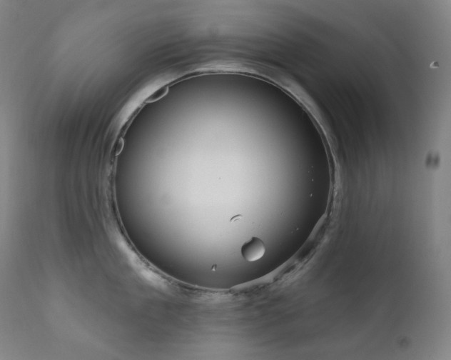 X0000111050909200906251430