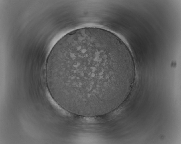 X0000111050911200906251430