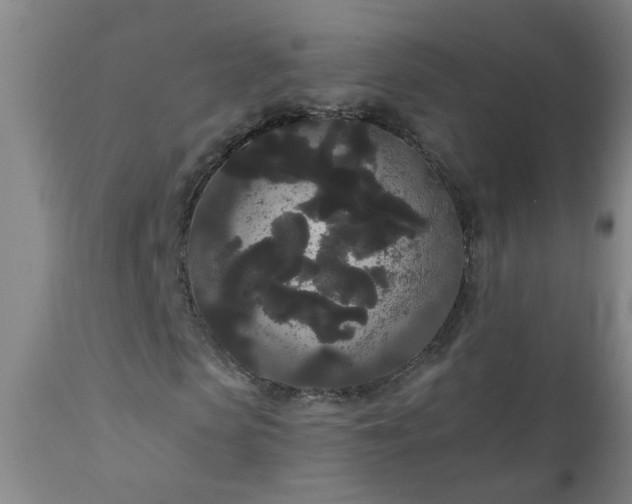 X0000111050913200906251429