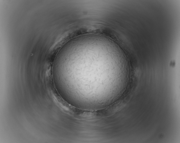X0000111050914200906251429