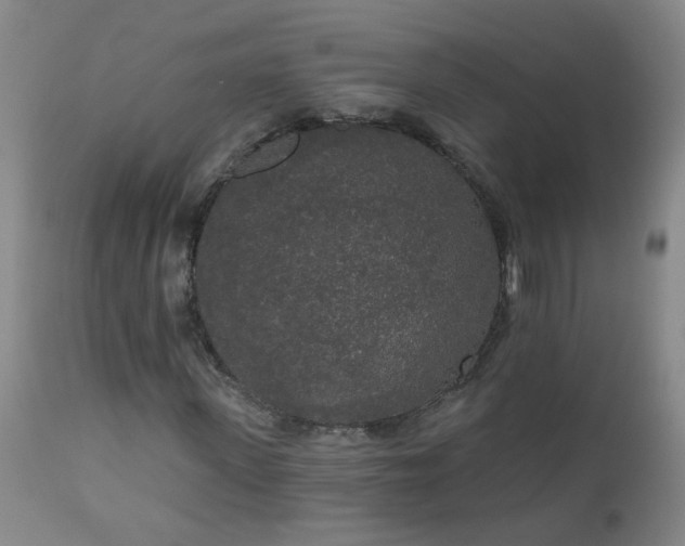 X0000111050915200906251429