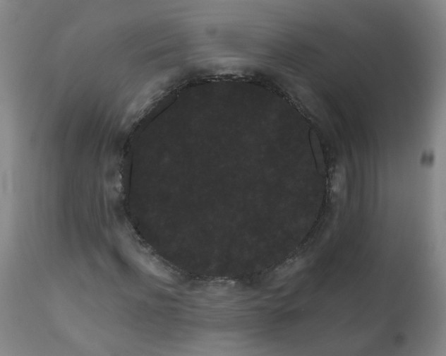 X0000111050916200906251429