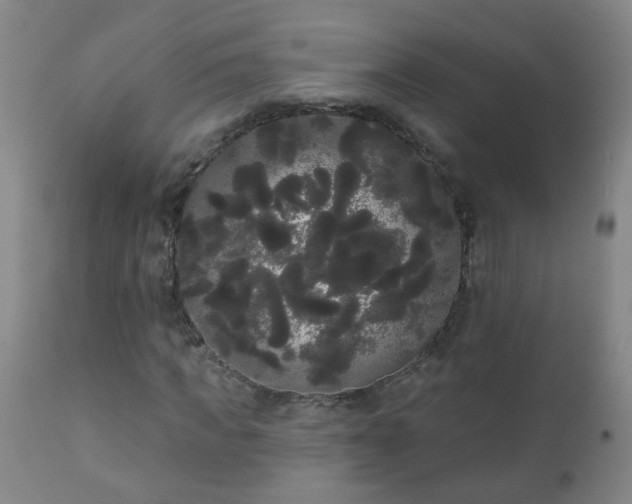 X0000111050917200906251429