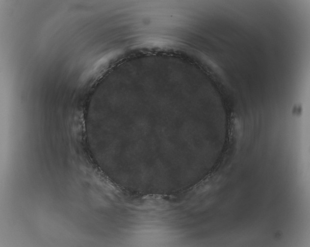 X0000111050918200906251429