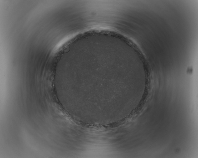 X0000111050919200906251429