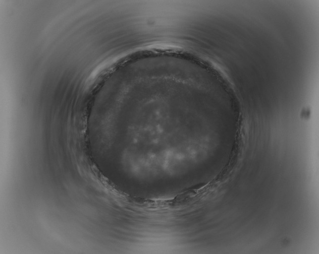 X0000111050920200906251429