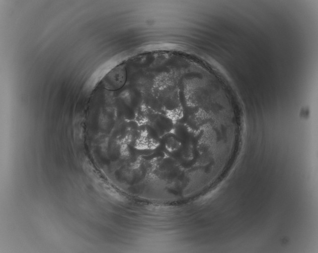 X0000111050921200906251429
