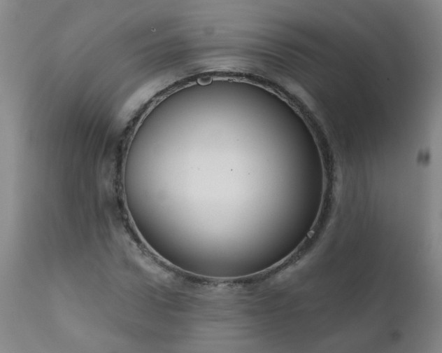 X0000111050922200906251429