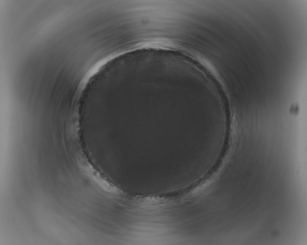 X0000111050923200906251429