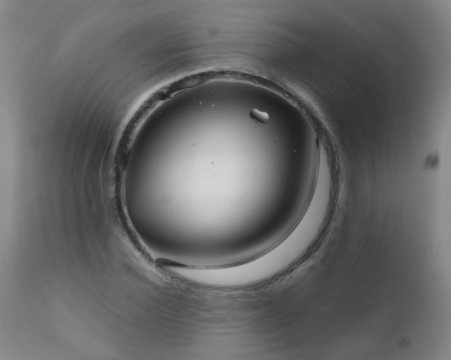 X0000111050924200906251429