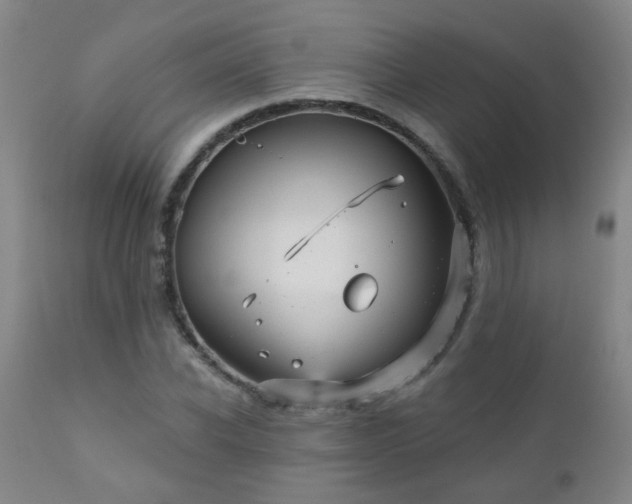X0000111050926200906251429