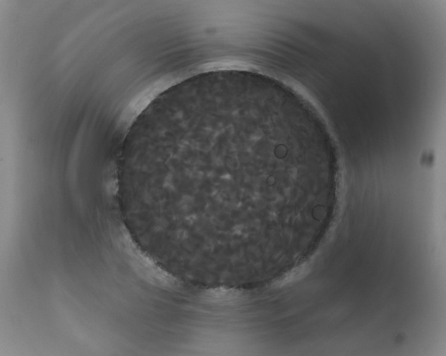 X0000111050929200906251429