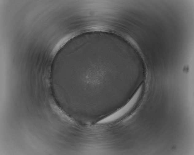 X0000111050930200906251429