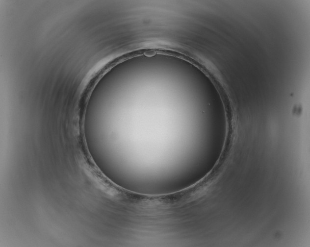 X0000111050931200906251429