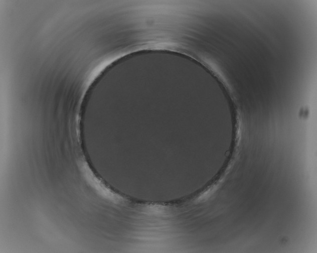 X0000111050932200906251429