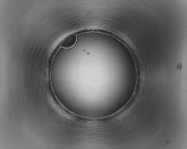 X0000111050934200906251429