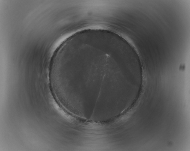 X0000111050935200906251429