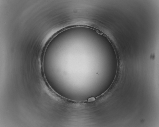 X0000111050936200906251429