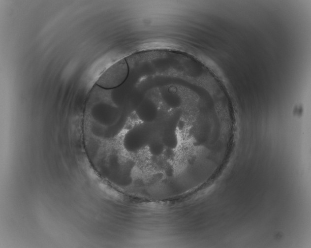 X0000111050937200906251429