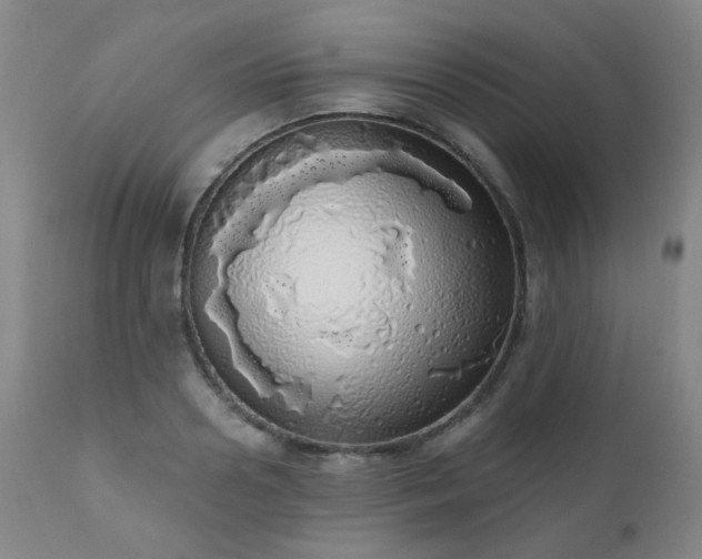 X0000111050938200906251429