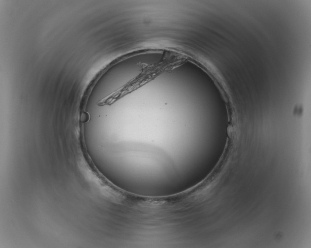 X0000111050939200906251429