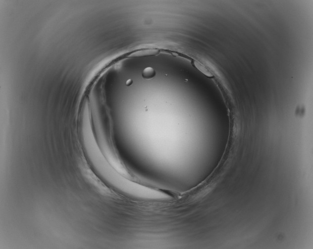 X0000111050940200906251429