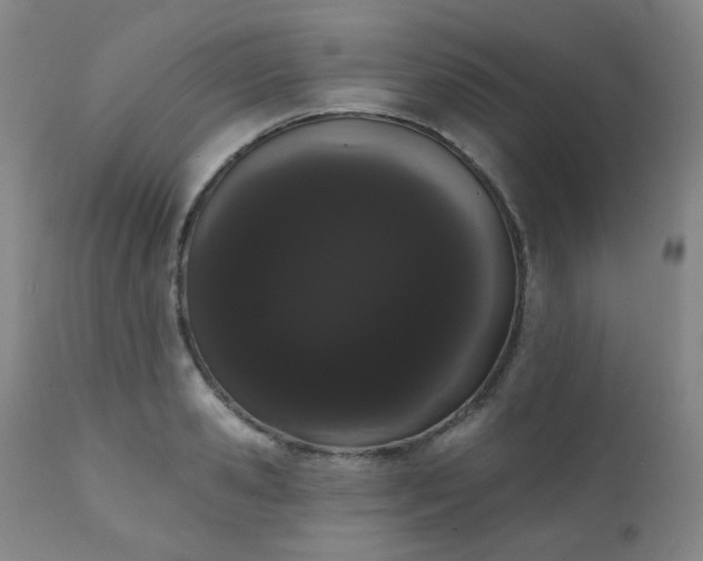 X0000111050941200906251429