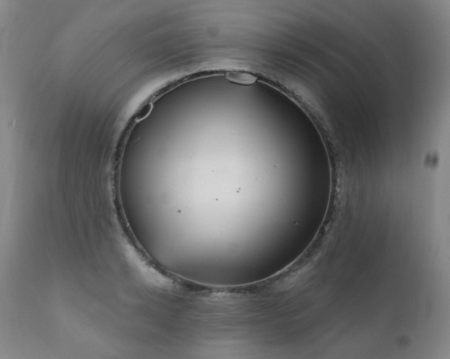 X0000111050942200906251429
