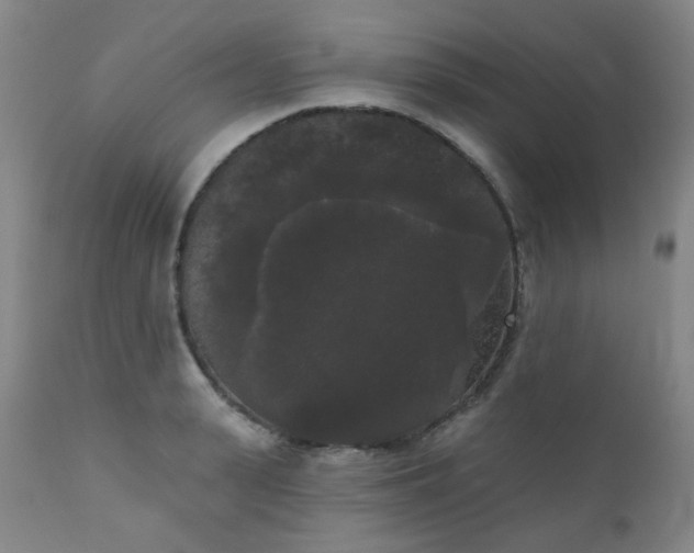 X0000111050943200906251430