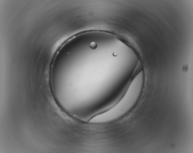 X0000111050944200906251430