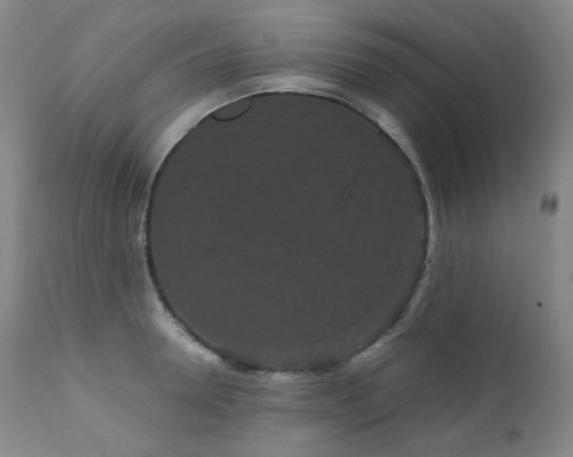 X0000111050946200906251430