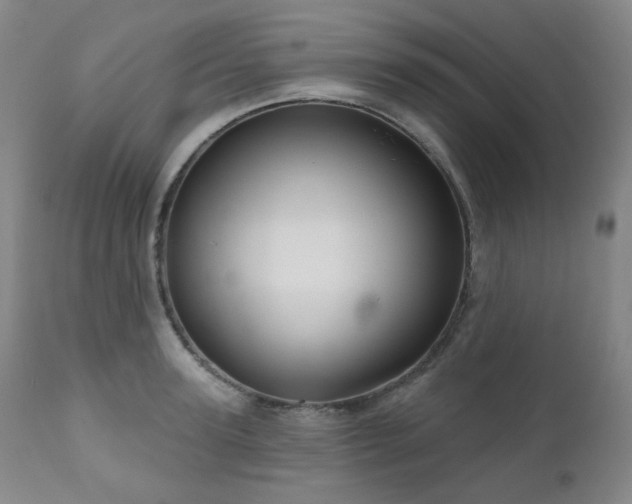 X0000111050947200906251430
