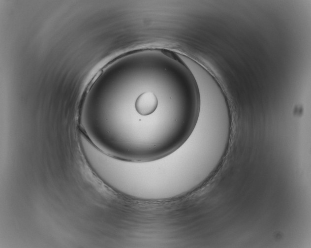 X0000111050948200906251430