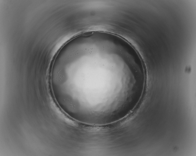 X0000111050949200906251430
