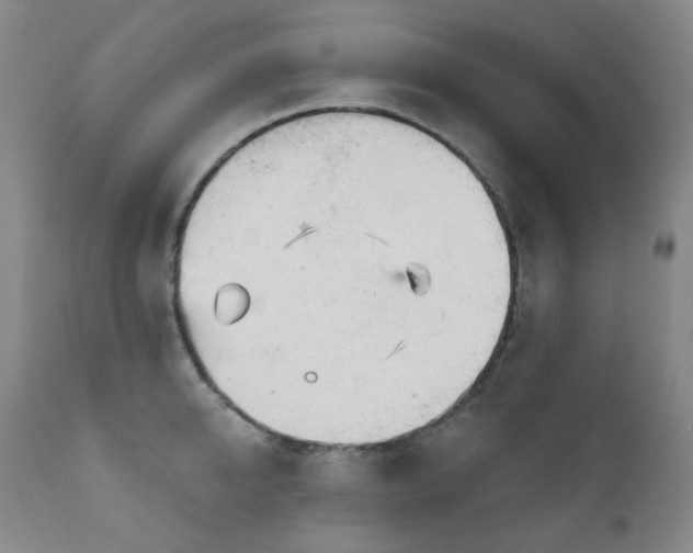 X0000111050950200906251430