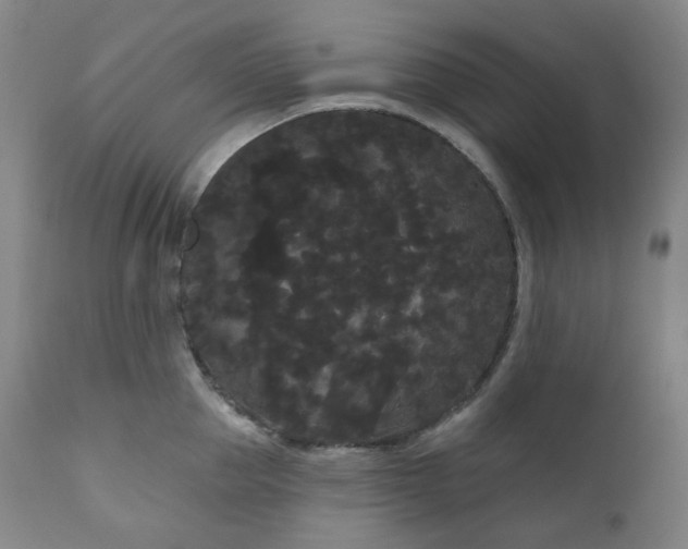X0000111050953200906251430
