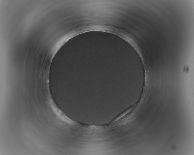X0000111050954200906251430