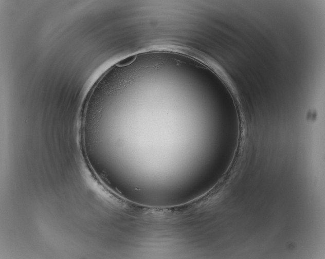 X0000111050955200906251430