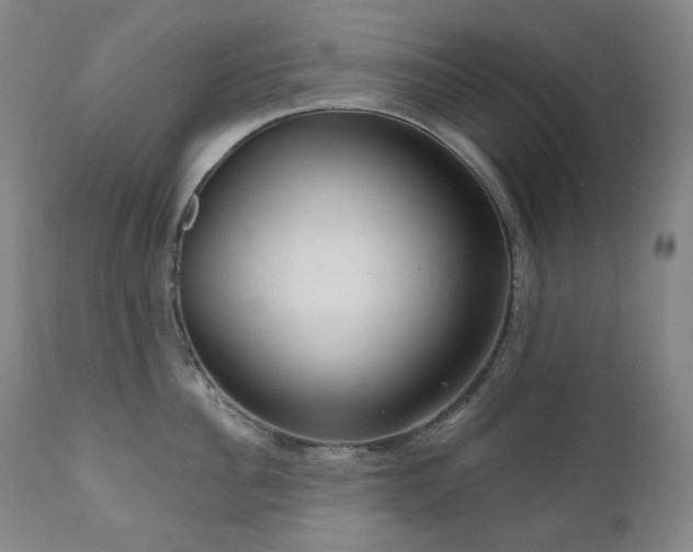 X0000111050956200906251430