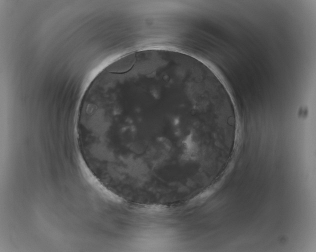 X0000111050957200906251430